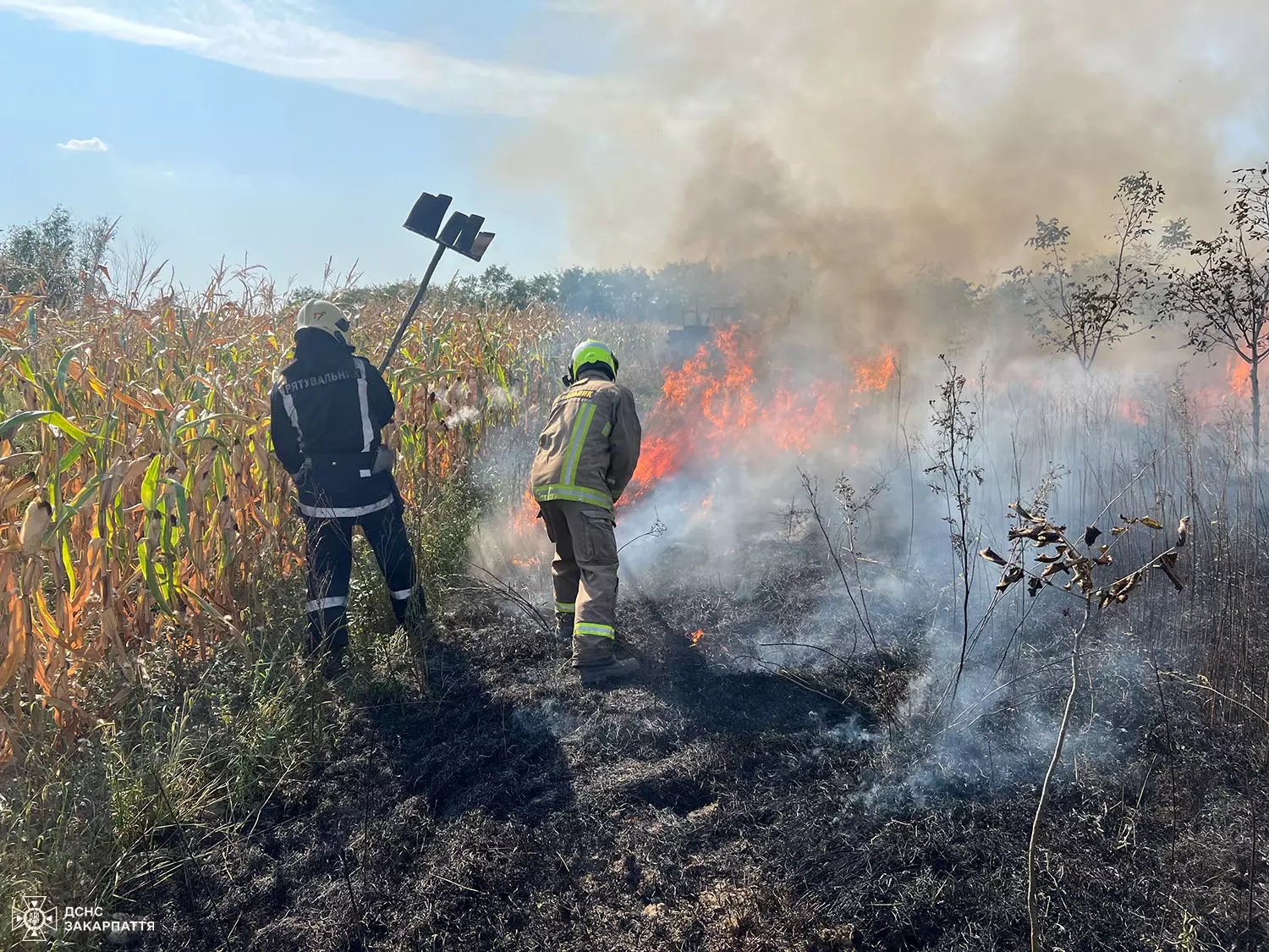 Боротьба закарпатських рятувальників з пожежами у екосистемах триває      Події