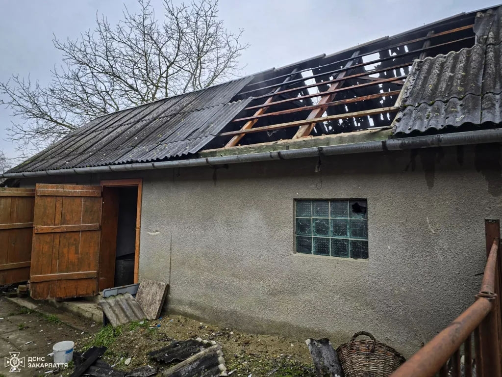 На Ужгородщині й Мукачівщині рятувальники ліквідували займання в гаражах				
   
Події