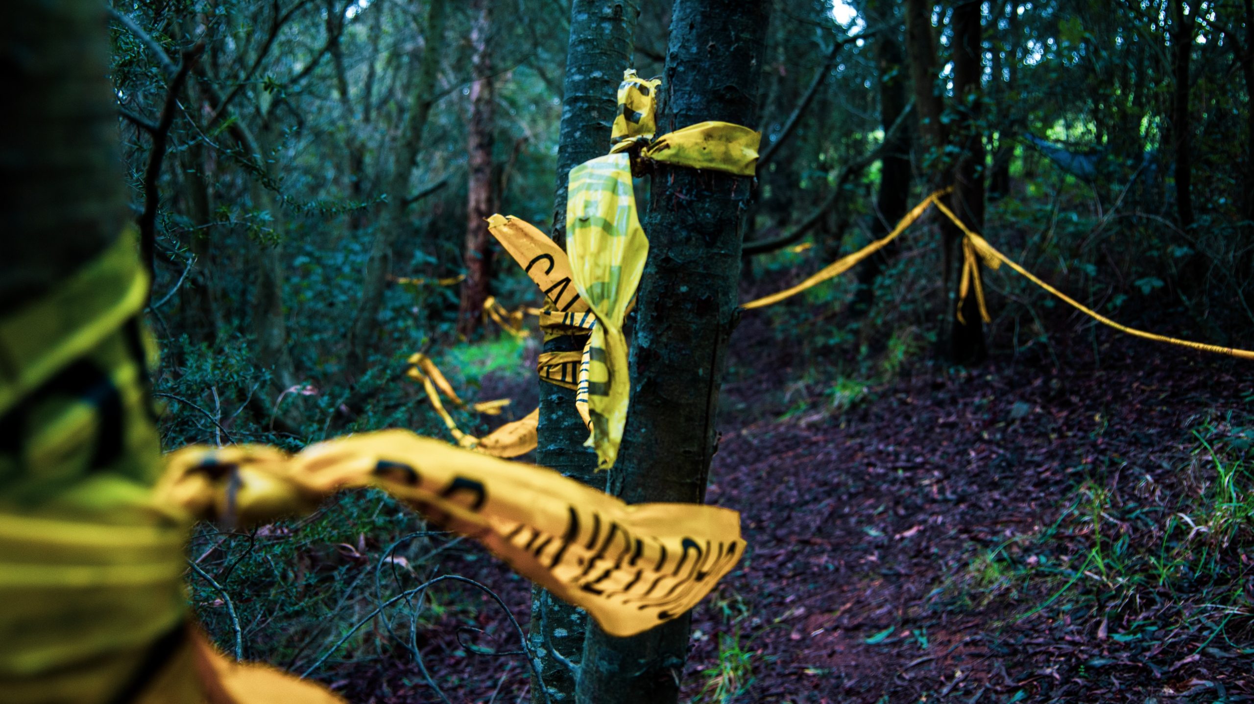 Kegyetlen kettős gyilkosság egy amerikai nemzeti parkban, a szülők az életüket adták gyermekeikért