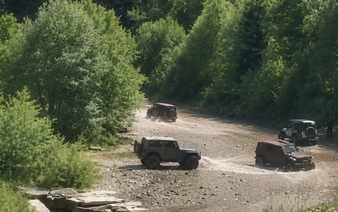 250462